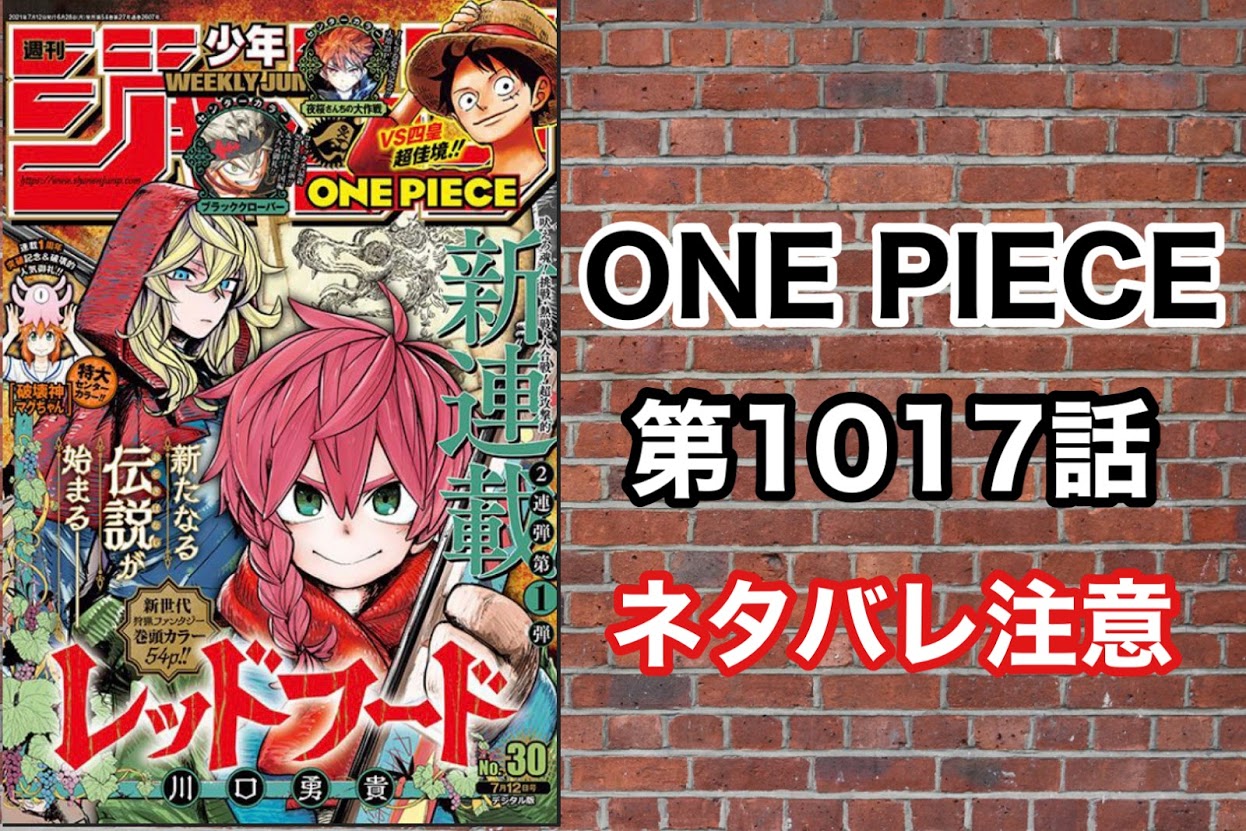 ネタバレ注意 One Piece 第1017話感想 のらねこブログ