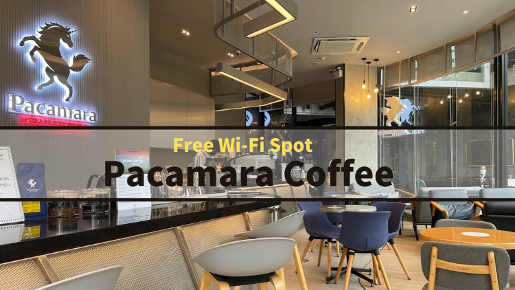 Pacamara